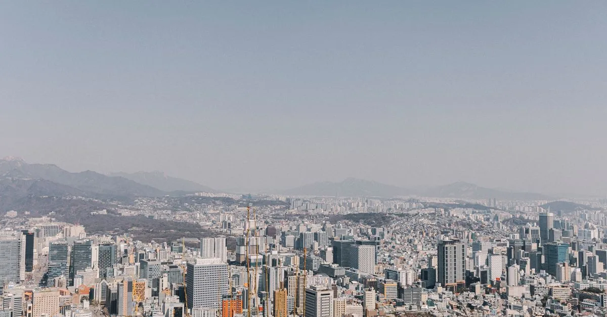 서울 강남구 피부과 현황 완전 분석 — 심평원 공공데이터 기준 2026년